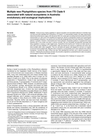 Multiple new Phytophthora species from ITS Clade 6 associated with natural ecosystems in Australia: evolutionary and ecological implications