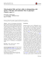 Mitochondrial SSRs and their utility in distinguishing wild species, CMS lines and maintainer lines in pigeonpea (Cajanus cajan L.)