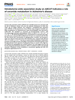 Metabolome-wide association study on ABCA7 indicates a role of ceramide metabolism in Alzheimer’s disease