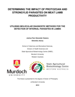 Determining the impact of protozoan and strongylid parasites on meat lamb productivity: Utilising molecular diagnostic methods for the detection of internal parasites in lambs