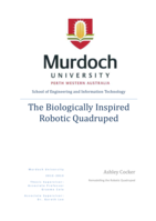 The biologically inspired robotic quadruped