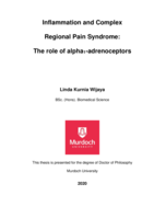 Inflammation and complex regional pain syndrome: The role of alpha1-adrenoceptors