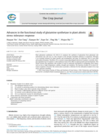 Advances in the functional study of glutamine synthetase in plant abiotic stress tolerance response