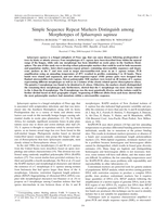 Simple Sequence Repeat Markers Distinguish among Morphotypes of Sphaeropsis sapinea