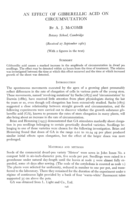 An effect of gibberellic acid on circumnutation