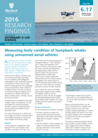 Measuring body condition of humpback whales using unmanned aerial vehicles