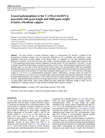 A novel polymorphism in the 5′ UTR of HvDEP1 is associated with grain length and 1000-grain weight in barley (Hordeum vulgare)