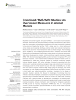 Combined rTMS/fMRI studies: An overlooked resource in animal models