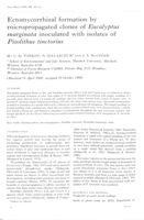 Ectomycorrhizal formation by micropropagated clones of Eucalyptus marginata inoculated with isolates of Pisolithus tinctorius