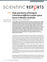 High prevalence of toxigenic Clostridium difficile in public space lawns in Western Australia