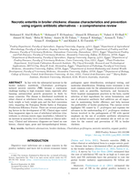 Necrotic enteritis in broiler chickens: Disease characteristics and prevention using organic antibiotic alternatives – a comprehensive review