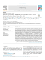 Molecular Epidemiology of Klebsiella pneumoniae from Clinical Bovine Mastitis in Northern China, 2018–2019