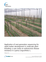 Application of next-generation sequencing for rapid marker development in molecular plant breeding: a case study on anthracnose disease resistance in Lupinus angustifolius L.