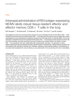 Intranasal administration of RSV antigen-expressing MCMV elicits robust tissue-resident effector and effector memory CD8+ T cells in the lung