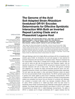 The Genome of the Acid Soil-Adapted Strain Rhizobium favelukesii OR191 Encodes Determinants for Effective Symbiotic Interaction With Both an Inverted Repeat Lacking Clade and a Phaseoloid Legume Host