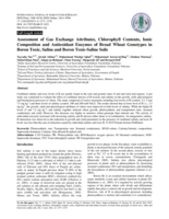 Assessment of gas exchange attributes, chlorophyll contents, ioniccomposition and antioxidant enzymes of bread wheat genotypes inboron toxic, saline and boron toxic-saline soils
