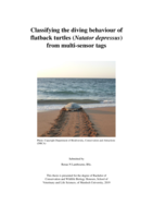 Classifying the diving behaviour of flatback turtles (Natator depressus) from multi-sensor tags
