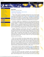 Zero to hero: Global love in provincial Japan