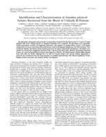 Identification and characterization of Serpulina pilosicoli isolates recovered from the blood of critically ill patients