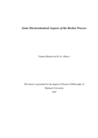 Some electrochemical aspects of the Becher process