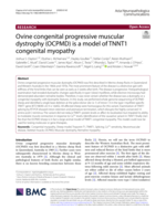 Ovine congenital progressive muscular dystrophy (OCPMD) is a model of TNNT1 congenital myopathy