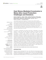 Heat Stress-Mediated constraints in Maize (Zea mays) production: Challenges and solutions