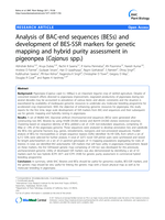 Analysis of BAC-end sequences (BESs) and development of BES-SSR markers for genetic mapping and hybrid purity assessment in pigeonpea (Cajanus spp.)