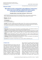 Biosynthesis of silver nanoparticles using indigenous Xanthorrhoea glauca leaf extract and their antibacterial activity against Escherichia coli and Staphylococcus epidermis