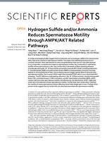Hydrogen sulfide and/or ammonia reduces spermatozoa motility through AMPK/AKT related pathways