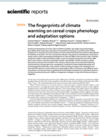 The fingerprints of climate warming on cereal crops phenology and adaptation options