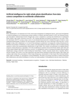 Artificial intelligence for right whale photo identification: From data science competition to worldwide collaboration