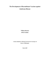 The development of recombinant vaccines against Jembrana disease