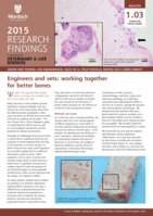 Engineers and vets: working together for better bones