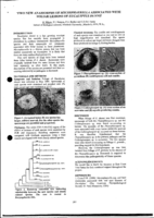 Two new anamorphs of Mycosphaerella associated with foliar lesions of Eucalyptus dunnii