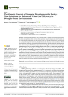 The genetic control of stomatal development in barley: New solutions for enhanced water-use efficiency in drought-prone environments