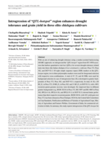 Introgression of “ QTL‐hotspot ” region enhances drought tolerance and grain yield in three elite chickpea cultivars