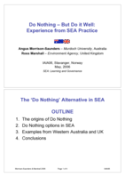 Do nothing – but do it well: experience from SEA practice