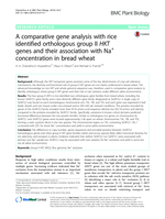 A comparative gene analysis with rice identified orthologous group II HKT genes and their association with Na+ concentration in bread wheat
