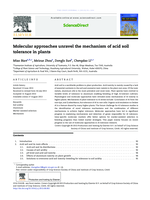 Molecular approaches unravel the mechanism of acid soil tolerance in plants