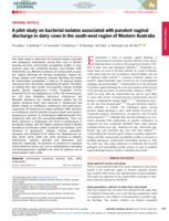 A pilot study on bacterial isolates associated with purulent vaginal discharge in dairy cows in the south‐west region of Western Australia