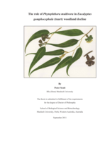 The role of Phytophthora multivora in Eucalyptus gomphocephala (tuart) woodland decline