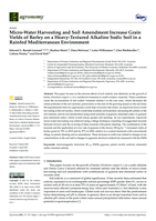 Micro-Water harvesting and soil amendment increase grain yields of barley on a Heavy-Textured alkaline sodic soil in a rainfed Mediterranean environment