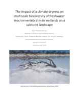 The impact of a climate dryness on multiscale biodiversity of freshwater macroinvertebrates in wetlands on a salinized landscape