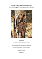 The role of phytophthora in predisposing Corymbia calophylla (marri) to a canker disease