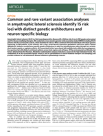 Common and rare variant association analyses in amyotrophic lateral sclerosis identify 15 risk loci with distinct genetic architectures and neuron-specific biology
