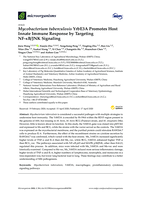 Mycobacterium tuberculosis YrbE3A promotes host innate immune response by targeting NF-κB/JNK signaling