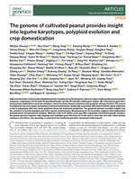 The genome of cultivated peanut provides insight into legume karyotypes, polyploid evolution and crop domestication
