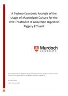 A Techno-Economic Analysis of the Usage of Macroalgae Culture for the Post Treatment of Anaerobic Digestion Piggery Effluent