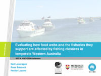 Using trophic flows and ecosystem structure to model the effects of fishing in the Jurien Bay Marine Park, temperate Western Australia