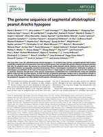 The genome sequence of segmental allotetraploid peanut Arachis hypogaea